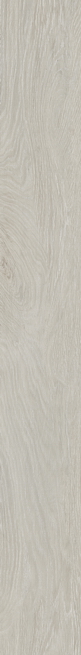 m6米乐
陶瓷-HCGA1518015挪威森林